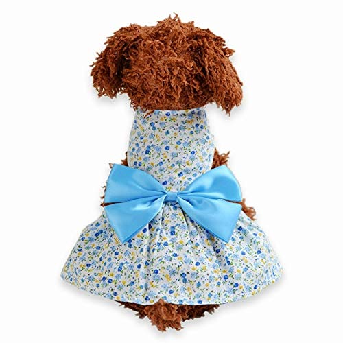 Haustier Paulclub Welpen Haustier Hund Kleidung Cool Summer Cat Dog Bow Blumenrock, Größe: XS (blau) (Color : Blue) von FuQingShiLongShanYuHuaShiPinDian