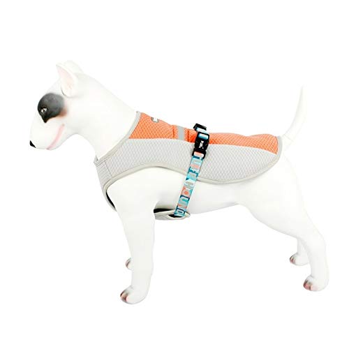 Haustier TUFF Jagdhund-Kühlweste Harness Außen Welpen Cooler Weste Reflektierende Schutzsonnenschutzhunde Jagd Mantel Größe: S (Color : Orange) von FuQingShiLongShanYuHuaShiPinDian