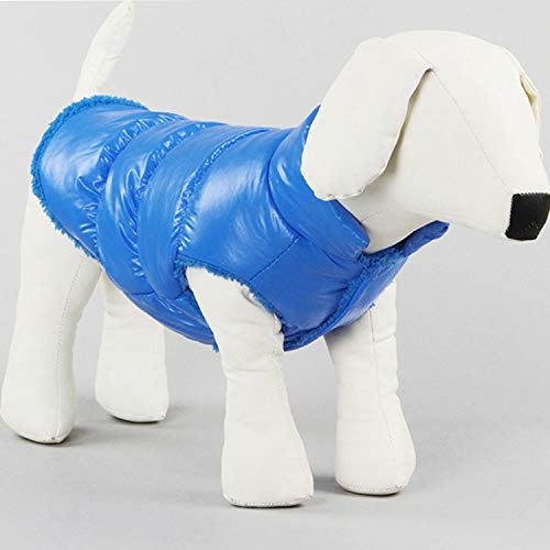 Haustier wasserdichte Hundegeschirr Jacke Wintermantel Welpen Weste Kleidung Wattepads warme Haustier-Katzen-Jacke Bekleidung Welpen-Mädchen-Jungen mit D-Ring-Größe: S (blau) (Color : Blue) von FuQingShiLongShanYuHuaShiPinDian