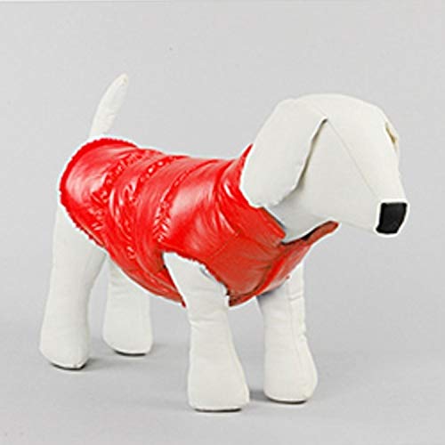 Haustier wasserdichte Hundegeschirr Jacke Wintermantel Welpen Weste Kleidung Wattepads warme Haustier-Katzen-Jacke Bekleidung Welpen-Mädchen-Jungen mit D-Ring-Größe: S (blau) (Color : Red) von FuQingShiLongShanYuHuaShiPinDian