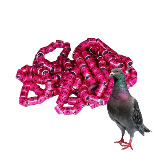 Fukamou Vogel-Fußringe, Tauben-Identifizierungsringe | Taubenringe 50 Stück | Pigeon Supplies -Bänder, Vogelfußringe, Pegeon-Zubehör Für Rennpapageien, Küken, Enten von Fukamou