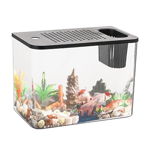 Fulenyi Aquarium-Starter-Kits, Desktop-Display, transparentes Schildkröten-Aquarium, kompakter Aquarium, Fischbehälter, kleine Aquarien für Landschaftsgestaltung von Fulenyi