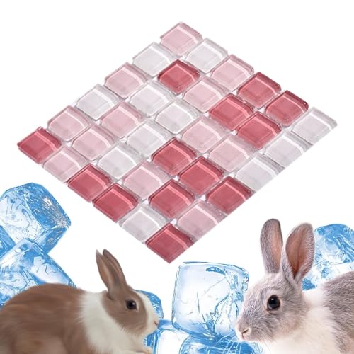 Fulenyi Hasen-Kühlmatte, Chinchilla-Kühlstein,Kaninchen Eisauflage Teller Sommerbett - Haustierbedarf, Wärmeableitungs-Haustier-Kühlplatte für Hamster, Chinchilla, Hase, Kätzchen, Katze von Fulenyi