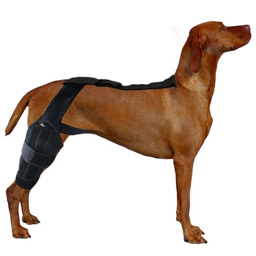 Fulenyi Hunde-Kniebandage | Professionelle Kniebandage, Hinterbeinstabilisator für kleine Hunde, Neopren-Hüftbandage mit verstellbarem Zuggurt für Kreuzbandverletzungen, Gelenke von Fulenyi