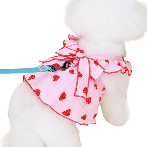 Fulenyi Hundekleid für kleine Hunde, Mädchen, Welpenkleidung, Katzenkleider – niedliches Hundekleid mit Erdbeerdruck, Katzenbekleidung für kleine Hunde und Mädchen von Fulenyi