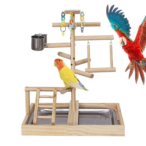 Parrot Play Gym Stand,Papageien Stand Spielplatz - Vogelständer - Hölzerne Vogel-Aktivitätstreppe, stehende Stange, Schaukelspielzeug für Turteltauben, Wellensittiche und Nymphensittiche von Fulenyi