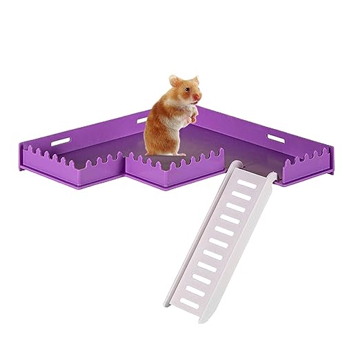 Plattform für Hamsterkäfig – sicheres Fitnessstudio aus PVC mit Leiter | Pet Supplies Heimdekoration für Kleintiere für Hamster, Igel, Eichhörnchen, Rennmäuse von Fulenyi