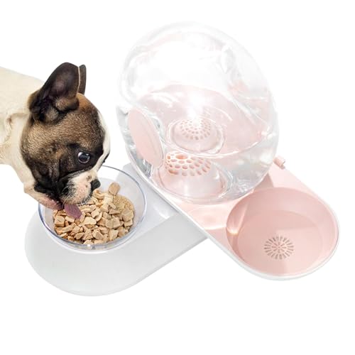 Wasserspender für Haustiere, Wasserspender für Hunde und Katzen, Spender für Futternapf für Katzen, Trinkbrunnen in Schneckenform, Schüssel-Set Wasserspender für Haustiere, Wasserspender für Hunde und Katzen, Spender für Futternapf für Katzen, Trinkbrunnen in Schneckenform, Schüssel-Set von Fulenyi