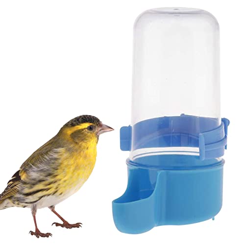 Fulenyi Wasserspender für Vögel, automatischer Vogelspender, 200 ml | Futterspender für Vögel, wasserdichte Tränke für Vögel, Wasserflasche Papagei für Wellensittiche von Fulenyi