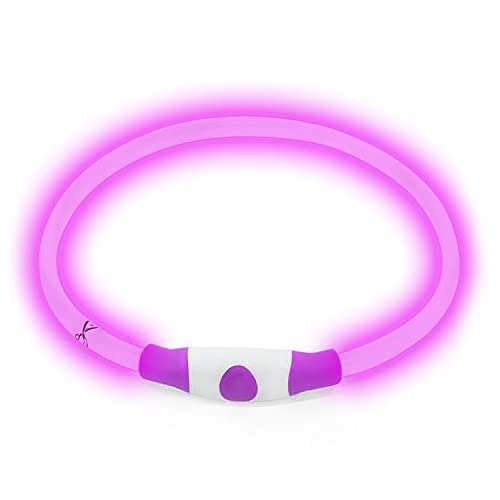 Fun Pets Sehr helles Hundehalsband mit USB-/Micro-USB-wiederaufladbarem LED-Licht, zuschneidbar, leistungsstark, statisch oder blinkend, wasserfest von Fun Pets