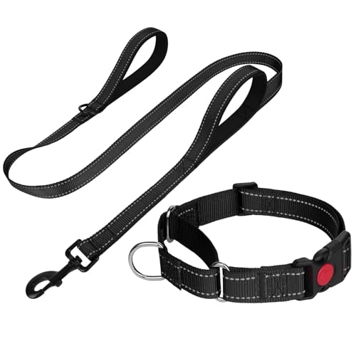 FunTags Reflektierendes Martingale-Halsband für Hunde, Schnellverschluss-Schnalle, 1,5 m Doppelgriff, gepolstert, Hundehalsband und Leine, Set, verstellbar für kleine Hunde (Schwarz, S) von FunTags