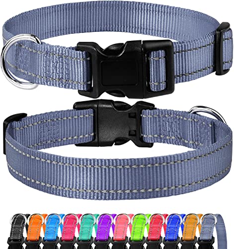 FunTags Reflektierendes Hundehalsband, robustes Nylon-Halsband für Welpen und extra kleine Mädchen- und Jungenhunde, verstellbares Hundehalsband mit Schnellverschluss-Schnalle, Grau, 1,9 cm breit von FunTags