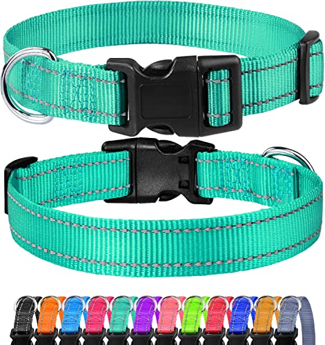 FunTags Reflektierendes Hundehalsband, robustes Nylon-Halsband für Welpen und extra kleine Mädchen- und Jungenhunde, verstellbares Hundehalsband mit Schnellverschluss-Schnalle, Türkis, 1,9 cm breit von FunTags