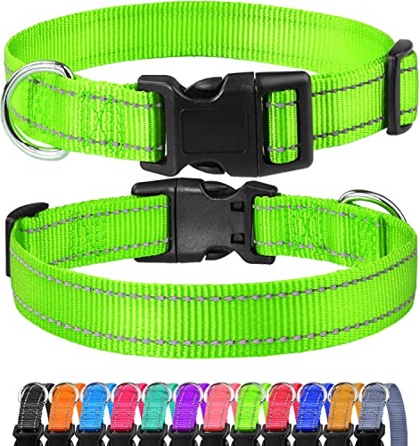 FunTags Reflektierendes Hundehalsband, stabile Nylon-Halsbänder für Welpen und extra kleine Mädchen und Jungen, verstellbares Hundehalsband mit Schnellverschluss-Schnalle, grün, 1,9 cm Breite von FunTags