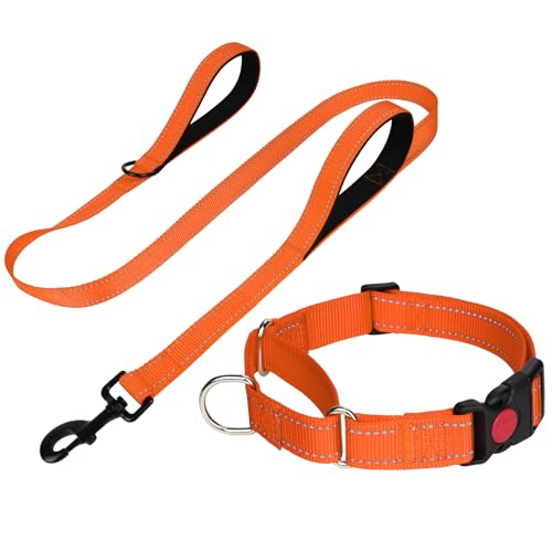 FunTags Reflektierendes Martingale-Halsband für Hunde, Schnellverschluss-Schnalle, 1,5 m Doppelgriff, gepolstert, Hundehalsband und Leine, Set, verstellbar für kleine Hunde (Orange, S) von FunTags