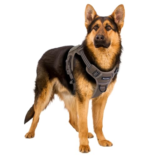 Funfox Hundegeschirr Grosse Hunde, No Pull Hundegeschirr für Große Hunde Einstellbar Taktisches Robust Anti Zug Brustgeschirr Hund Mittelgroße Hunde Geschirrset Atmungsaktiv Dog Harness Braun L von Funfox