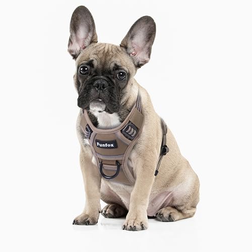 Funfox Hundegeschirr Kleine Hunde Anti Zug Sicherheitsgeschirr Kleine Mittlere Hunde No Pull Welpengeschirr Einstellbar Hundegeschirr Brustgeschirr Hund Atmungsaktiv Dog Harness S Braun von Funfox