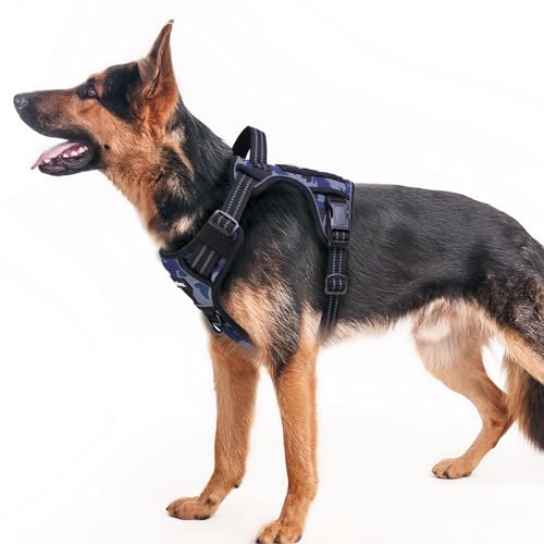 Funfox Hundegeschirr Kleine Hunde Anti Zug Sicherheitsgeschirr Kleine Mittlere Hunde No Pull Welpengeschirr Einstellbar Hundegeschirr Brustgeschirr Hund Atmungsaktiv Dog Harness S Camo Lila von Funfox