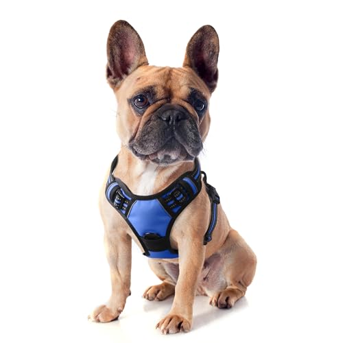 Funfox Hundegeschirr Kleine Hunde Anti Zug Welpengeschirr Einstellbar Hundegeschirr Antiziehgeschirr Kleine Mittlere Hunde Brustgeschirr Hund Atmungsaktiv No Pull Dog Harness Blau S von Funfox