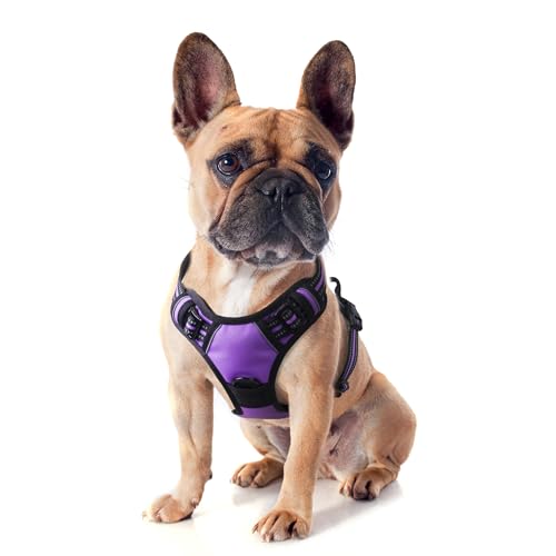 Funfox Hundegeschirr Kleine Hunde Anti Zug Welpengeschirr Einstellbar Hundegeschirr Antiziehgeschirr Kleine Mittlere Hunde Brustgeschirr Hund Atmungsaktiv No Pull Dog Harness Lila S von Funfox