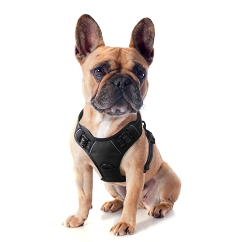 Funfox Hundegeschirr Kleine Hunde Anti Zug Welpengeschirr Einstellbar Hundegeschirr Antiziehgeschirr für Mittelgroße Hunde Brustgeschirr Hund Atmungsaktiv No Pull Dog Harness Schwarz S von Funfox