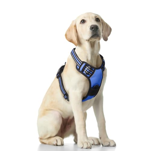 Funfox Hundegeschirr für Große Anti Zug Brustgeschirr Einstellbar Grosse Hunde Geschirrset Mittelgroße Hunde, Antiziehgeschirr für Hunde Atmungsaktiv No Pull Dog Harness Blau XL von Funfox