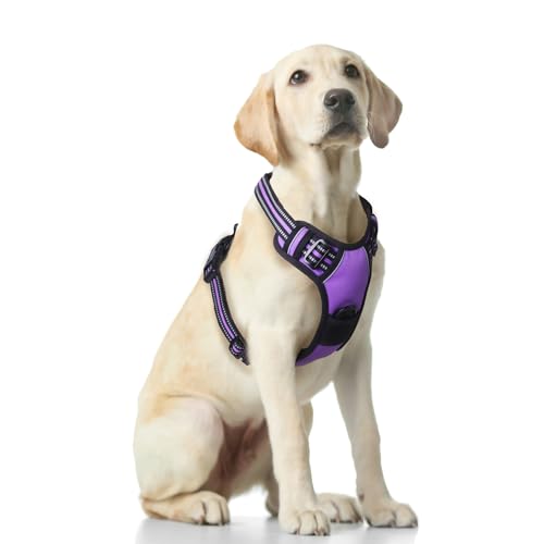 Funfox Hundegeschirr für Große Anti Zug Brustgeschirr Einstellbar Grosse Hunde Geschirrset Mittelgroße Hunde, Antiziehgeschirr für Hunde Atmungsaktiv No Pull Dog Harness Lila XL von Funfox