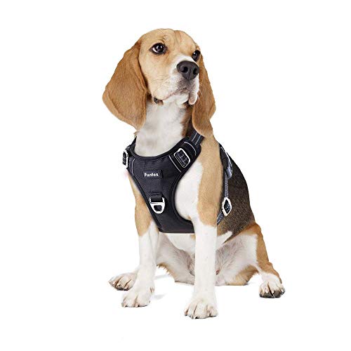 Funfox Hundegeschirr Mittelgroße Hunde, Anti Zug Brustgeschirr mit Griff, No Pull Verstellbares Hundegeschirr Mittel Hunde, Atmungsaktiv Antizieh Sicherheits Geschirrset Dog Harness Schwarz M von Funfox