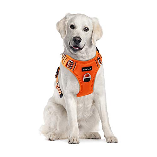 Funfox Hundegeschirr für Große Hunde No Pull Geschirr Einstellbar Anti Zug Sicherheitsgeschirr Hunde Geschirrset Mittlere Hunde Brustgeschirr Hund Groß Atmungsaktiv Dog Harness Orange L von Funfox