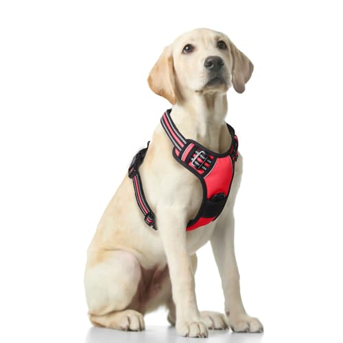 Funfox Hundegeschirr für Mittelgroße Hunde No Pull Brustgeschirr Einstellbar Hunde Geschirrset Mittlere Hunde Anti Zug Geschirr Hund Mittel Hunde Atmungsaktiv Antiziehgeschirr Dog Harness Rot M von Funfox