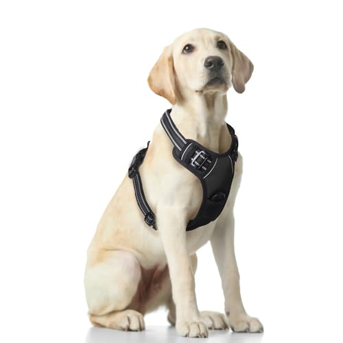 Funfox Hundegeschirr für Mittelgroße Anti Zug Brustgeschirr Einstellbar Geschirrset Mittlere Hunde No Pull Geschirr Hund Antiziehgeschirr für Grosse Hunde Atmungsaktiv Dog Harness Schwarz M von Funfox