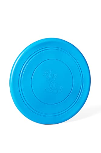 Hundefrisbee Große Hunde - Frisbee Hund Schwimmspielzeug Hund 17,5 cm - Treibball Für Hunde Bissfest Gross Target Hundetraining - Für Stundenlangen Spaß Und Gesundheit Für Ihr Haustier von Funky Planet