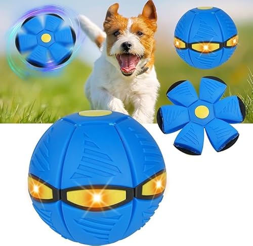 Funmo Hundespielzeug Ball, Fliegender Ball,Leuchten Fliegend Untertasse Ball,Interaktives Hund Spielzeug Frisbee für Hundetraining, für Drinnen und Draußen Blau von Funmo
