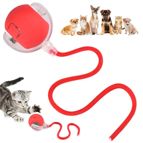 Funmo Interaktives Katzenspielzeug,Katzenspielzeug Elektrisch Katzenball,Automatisches Katzenspielzeug für Katzen,Wiederaufladbar über USB,Stimulierung Katzen,Geschenk für Katzen (Rot) von Funmo