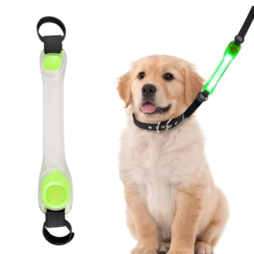 Funmo LED-Leuchtbänder für Haustiere, USB Aufladbar Sicherheits LED Leuchthalsband Hunde mit Klettverschluss, Einfach an Halsband Leine und Geschirr zu Befestigen, Wasserdicht LeuchtendNacht Outdoor von Funmo