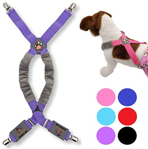 FUNNYDOGCLOTHES Hosenträger für Hunde, Kleidung, Windeln, Hosen, Rock, Bauchbänder, kleine, mittelgroße und große Hunde (Größe XXS: 1,4 kg – 4,1 kg, Violett) von FunnyDogClothes