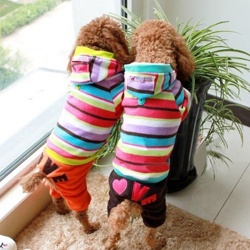 FUNNYDOGCLOTHES Overall, Fleece, Regenbogenstreifen, Kapuzenmantel, Hose, Orange, Größe XS: Länge 25,4 cm, Brustumfang 35,6 cm von FunnyDogClothes