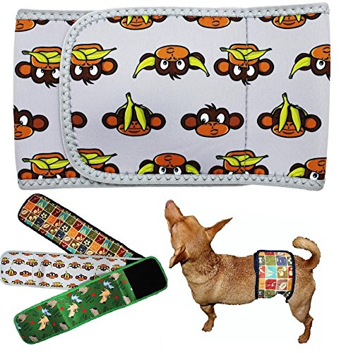 FunnyDogClothes Hundewindel für männliche Bauchband, Neopren, wiederverwendbar, waschbar, für kleine und große Hunde, Welpen (grauer Affe, XXL: Taille 53,3 cm – 63,5 cm) von FunnyDogClothes