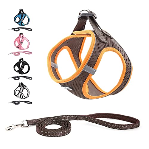 Hundegeschirr Katzengeschirr mit Leine, Anti Zug Geschirr Reflektierend Brustgeschirr für Kleine Hunde, Haustiere, Welpen, Katzen, Verstellbar Sicherheitsgeschirr-Marron||XS (30-33 cm) von Funthy