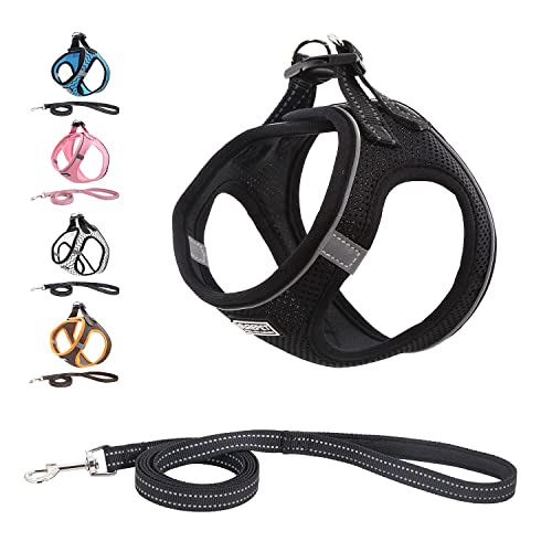 Hundegeschirr Katzengeschirr mit Leine, Anti Zug Geschirr Reflektierend Brustgeschirr für Kleine Hunde, Haustiere, Welpen, Katzen, Verstellbar Sicherheitsgeschirr-Noir||XXS (24-28 cm) von Funthy