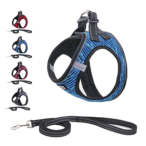 Step-in Hundegeschirr mit Leine Anti Zug Katzengeschirr Geschirr Reflektierend Weich Mesh Atmungsaktive Brustgeschirr für Kleine Hunde, Haustiere, Welpen, Katzen-Blue||S (Pack of 1) von Funthy