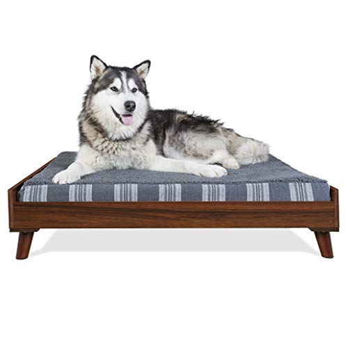 Furhaven Erhöhtes Hundebett für 101,6 x 81,3 cm XL-Hundebetten, einfache Montage – moderner Bettrahmen aus der Mitte des Jahrhunderts – Walnuss, Jumbo/XL von Furhaven