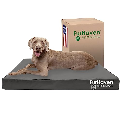 FurHaven Wasserabweisendes kühlendes Gel-Hundebett für große Hunde mit abnehmbarem, waschbarem Bezug, für Hunde bis zu 57 kg, Indoor/Outdoor, Logo-Druck, Oxford-Polycanvas-Matratze, Steingrau, Jumbo von Furhaven