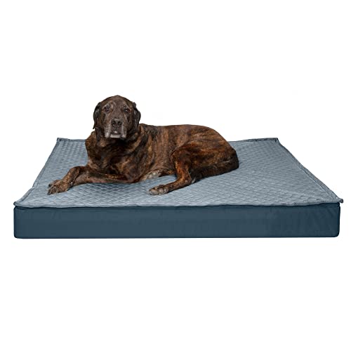 Furhaven Haustierbett für Hunde und Katzen – Wasserabweisend Indoor-Outdoor Convertible Quilt Top Matratze Memory Foam Hundebett, Abnehmbarer Bezug – Ruhiges Blau, Jumbo Plus (XX-Large) von Furhaven