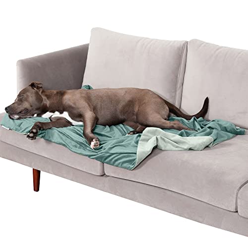 Furhaven Large Waterproof Two-Tone Luxe Velvet Dog Blanket, Washable - Celadon Green, Large von Furhaven