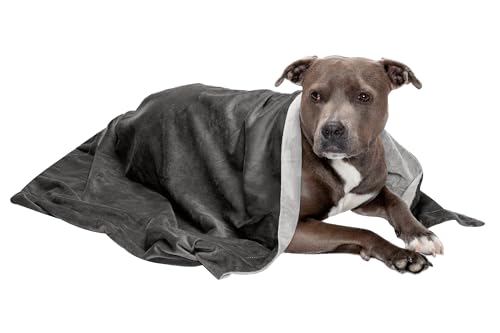 Furhaven Large Waterproof Two-Tone Luxe Velvet Dog Blanket, Washable - Granite Gray, Large von Furhaven