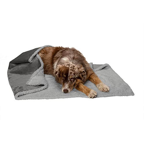Furhaven Large Waterproof & Self-Warming Soft-Edged Terry & Sherpa Dog Blanket, Washable - Silver Gray, Large von Furhaven