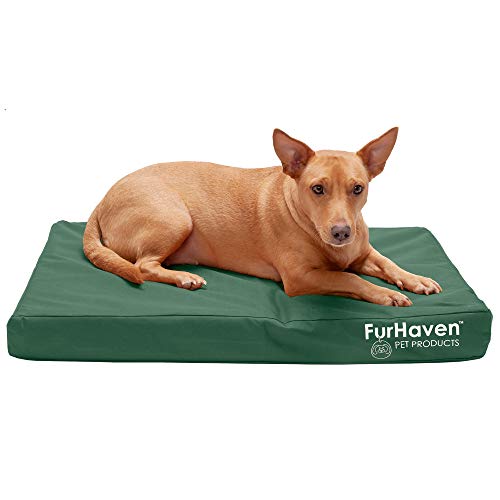 Furhaven Medium Orthopedic Dog Bed Water-Resistant Indoor/Outdoor Logo Print Oxford Polycanvas Mattress w/Removable Washable Cover - Forest, Medium von Furhaven