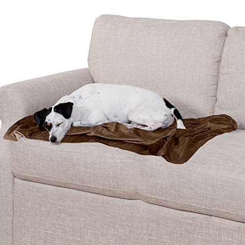 Furhaven Medium Waterproof Two-Tone Luxe Velvet Dog Blanket, Washable - Brownstone, Medium von Furhaven