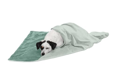 Furhaven Medium Waterproof Two-Tone Luxe Velvet Dog Blanket, Washable - Celadon Green, Medium von Furhaven